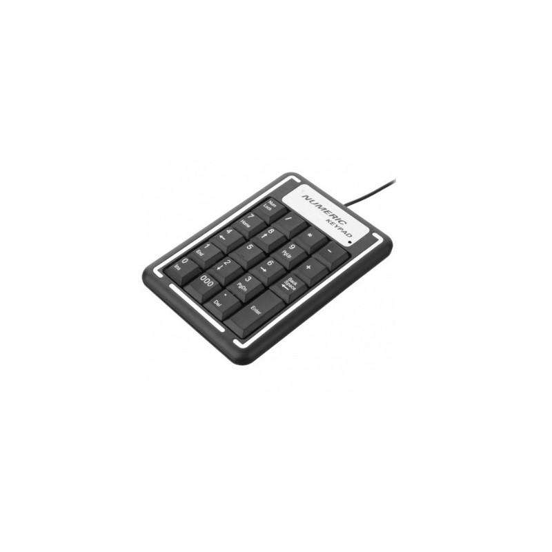 Non-Synchronous Notebook and Computer Numeric Keypad
