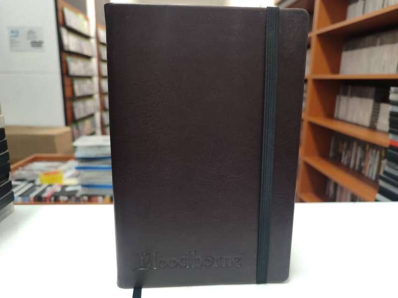 Bloodborne Press Kit PlayStation 4