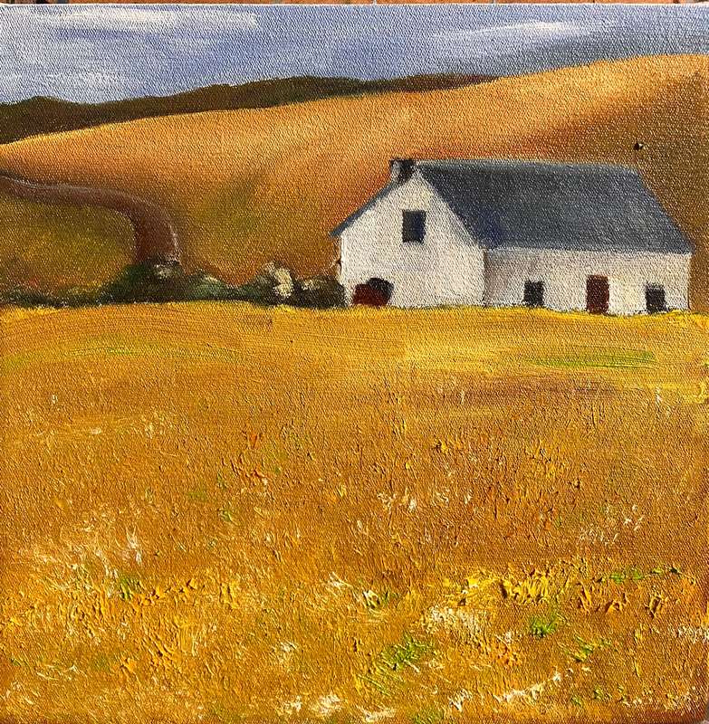 Canola fields 2