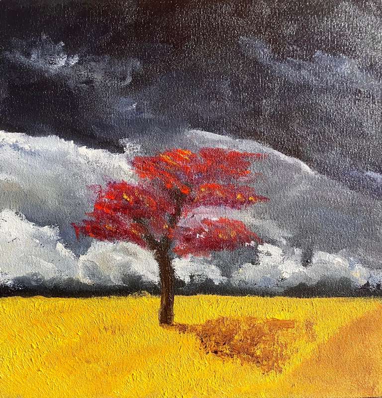 Canola fields 3