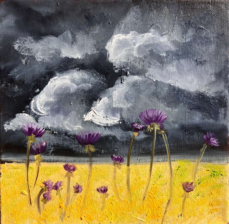 Purple flowers