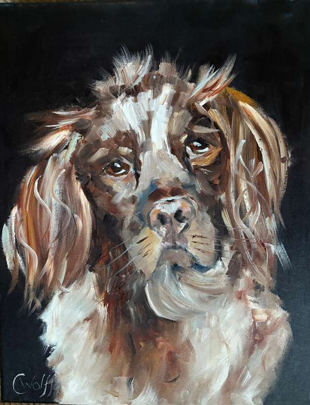 Textured dog