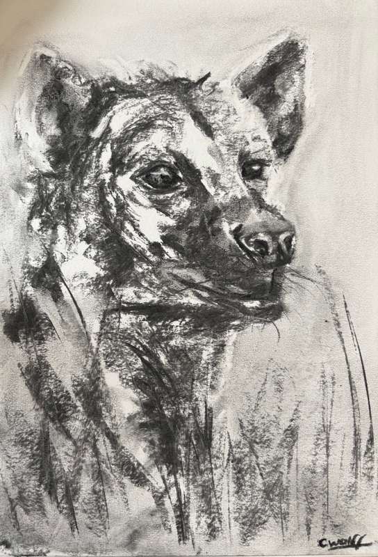 Hyena