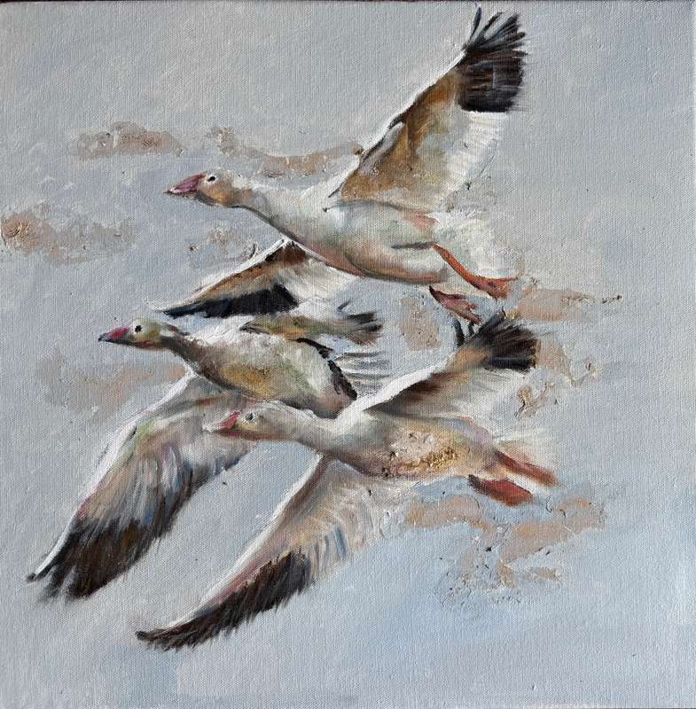 Flight