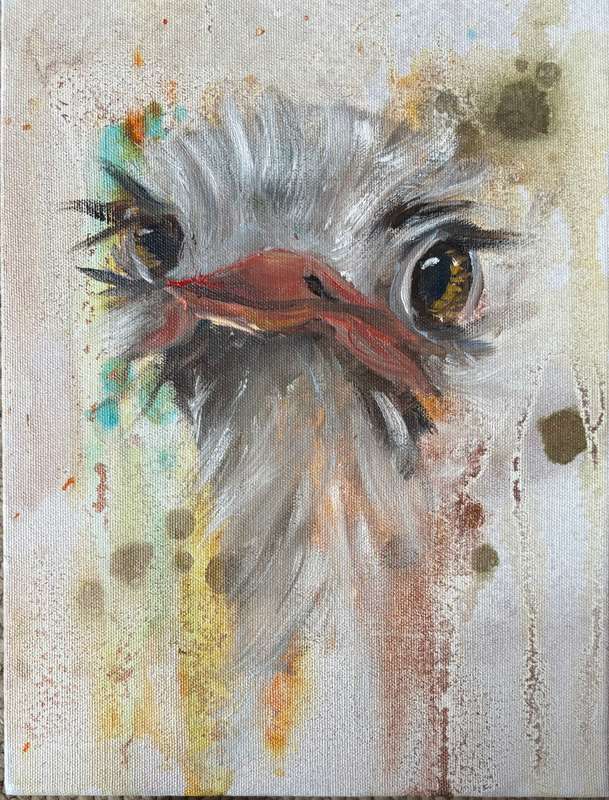 Ostrich