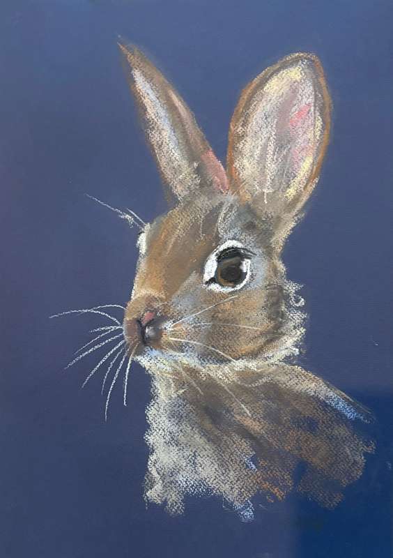 Hare