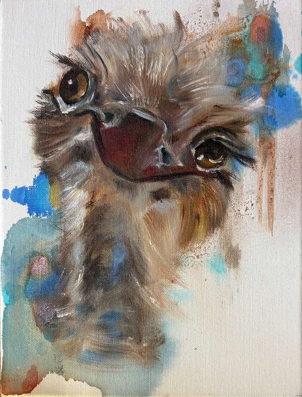 Ostrich blues