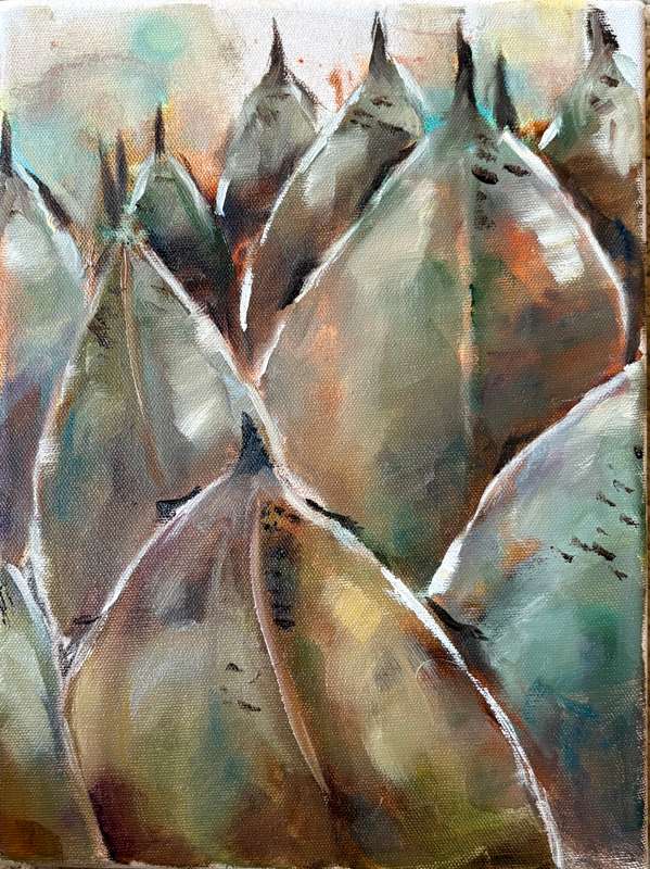 Succulents 2