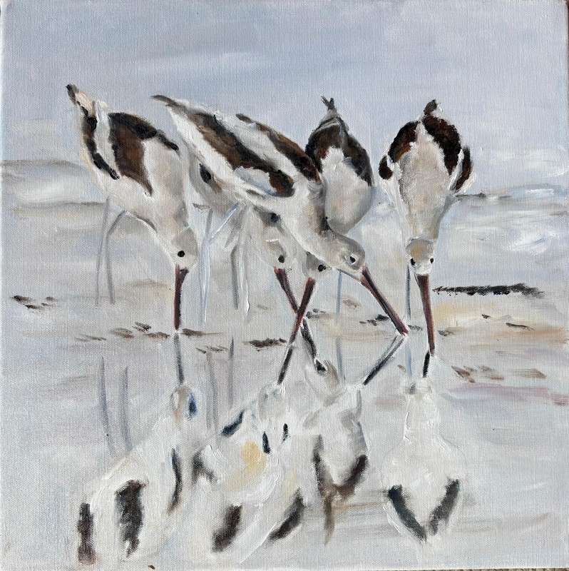 Sea birds