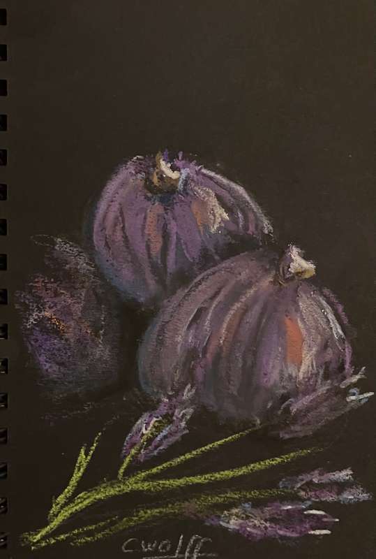 Figs