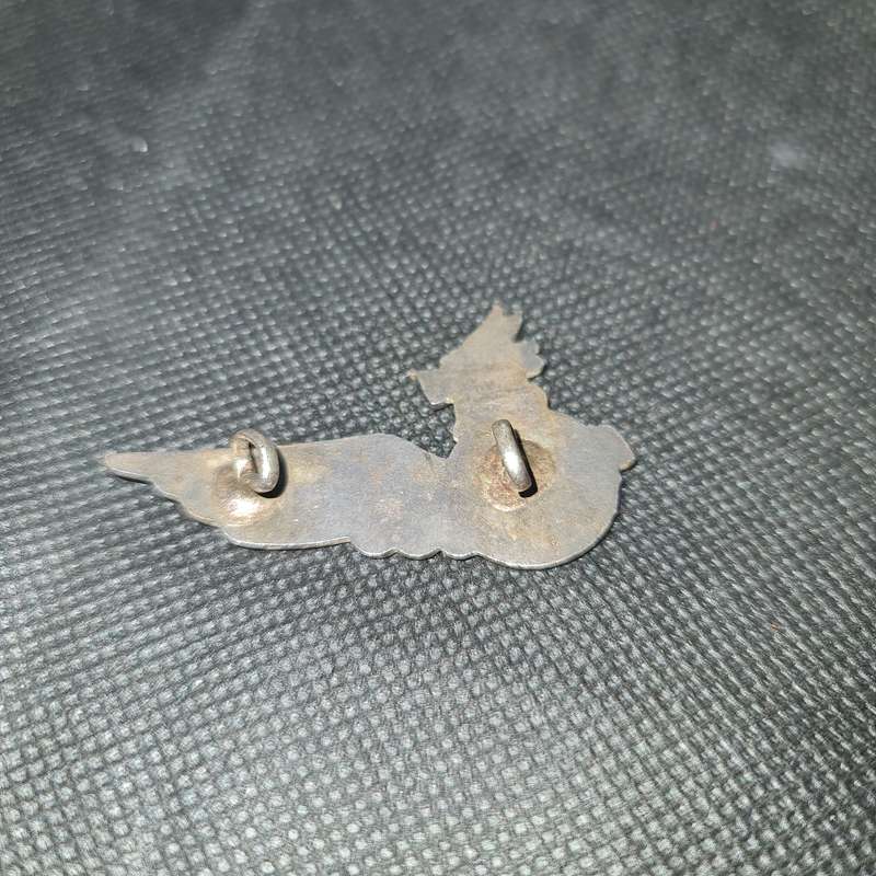 BRITVIA PILOTS WING BADGE