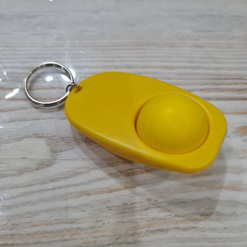 12 X Plastic Keyrings