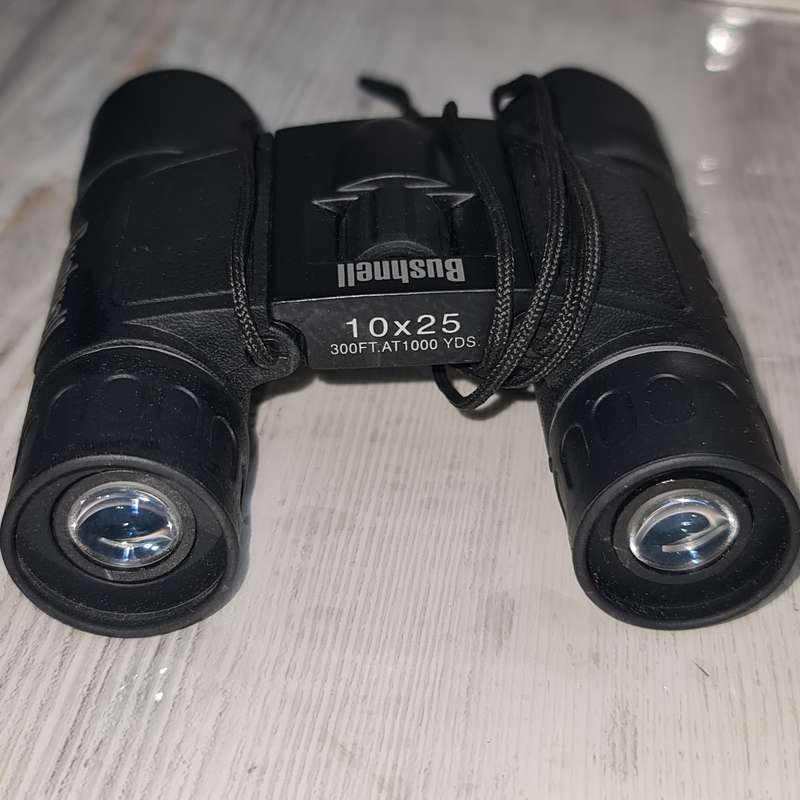 Bushnell Binoculars 10 x 25