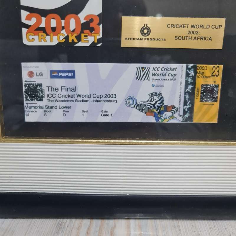 2003 Cricket World Cup Frame