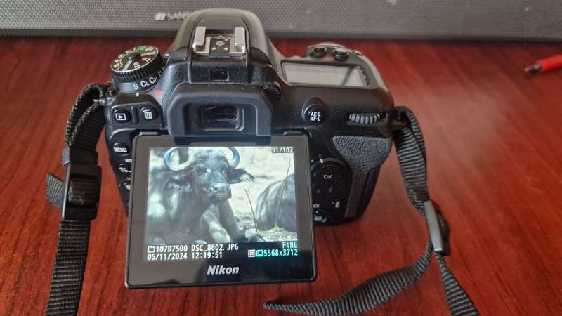 NIKON D7500 Body only