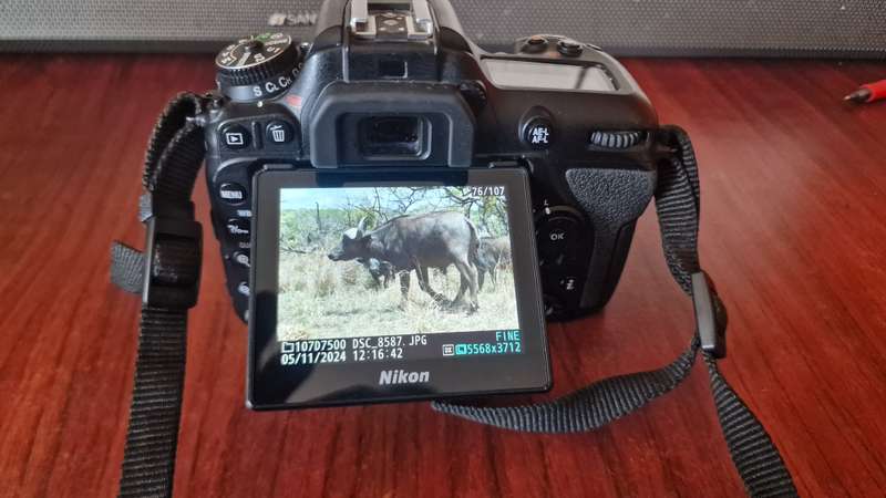 NIKON D7500 Body only