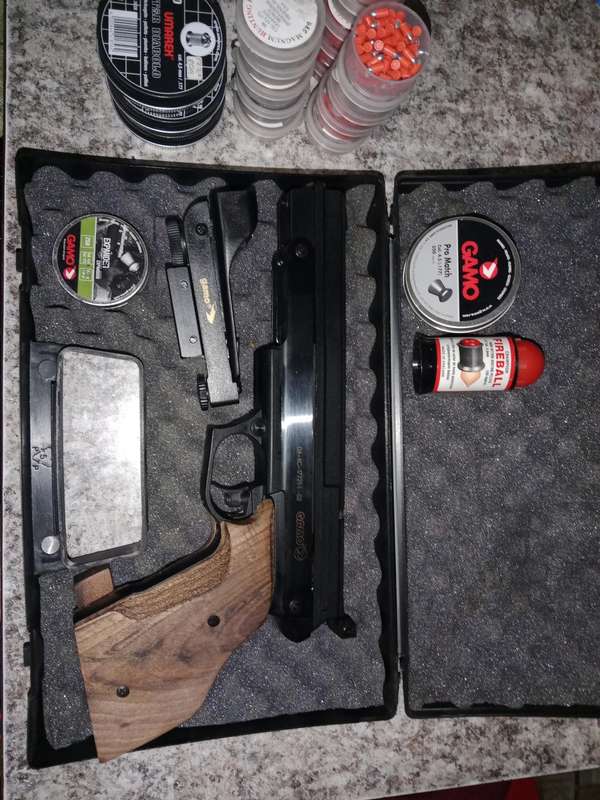 GAMO compact