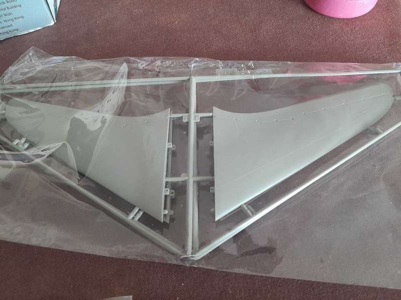 Horten Flying Wing 229A1 model