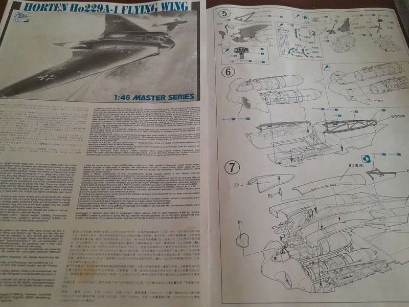 Horten Flying Wing 229A1 model