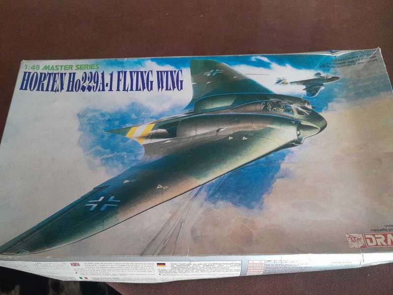 Horten Flying Wing 229A1 model
