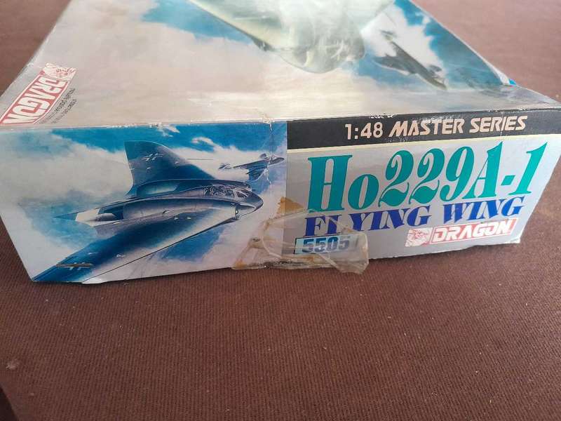 Horten Flying Wing 229A1 model