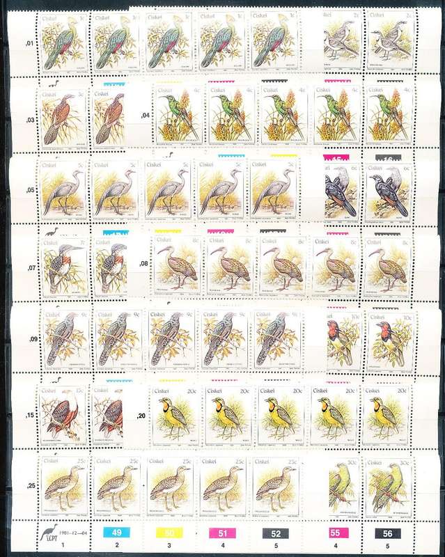 CISKEI    1981  -   DEFINITIVE SET OF CONTROLS  FINE  MINT