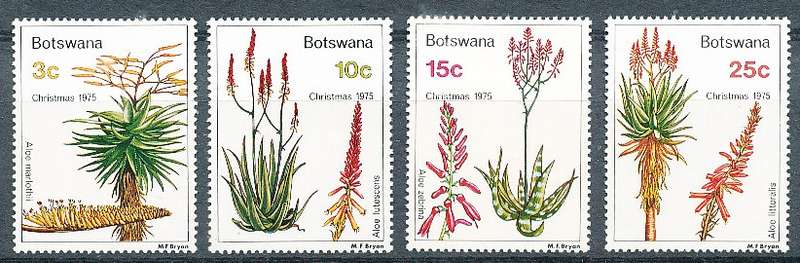 BOTSWANA  1975  -  Christmas - Aloes  SET     -  FINE  MINT