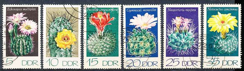 GERMANY  DDR   1974  -  Cactuses FULL SET -   FINE USED