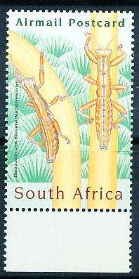 RSA -  2008  -  Entomology Conference - ICE  - FINE MINT