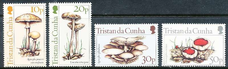 TRISTAN da CUNHA  - 1984     Fungi  SET  -  FINE  MINT