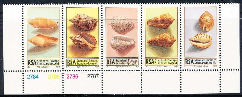 RSA   -  1995  -    Sea Shells   CONTROL BLOCK  - FINE  MINT