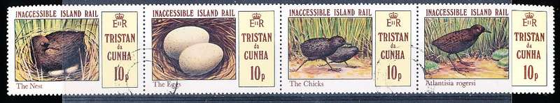TRISTAN da CUNHA  - 1981    Island Rail   SET  -    FINE  USED