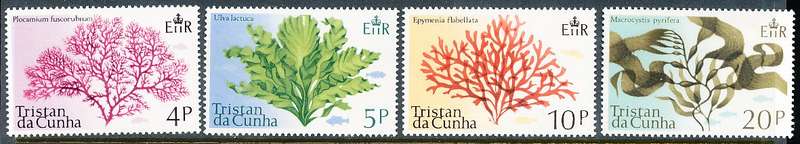 TRISTAN da CUNHA  - 1975   Marine Algae   SET  -    FINE  MINT