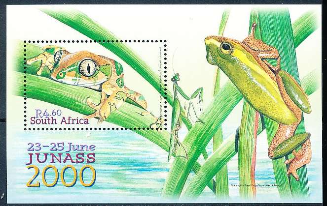 RSA  - 2000  -   Junior Stamp Show -  MINI- SHEET  - FINE  CTO MINT