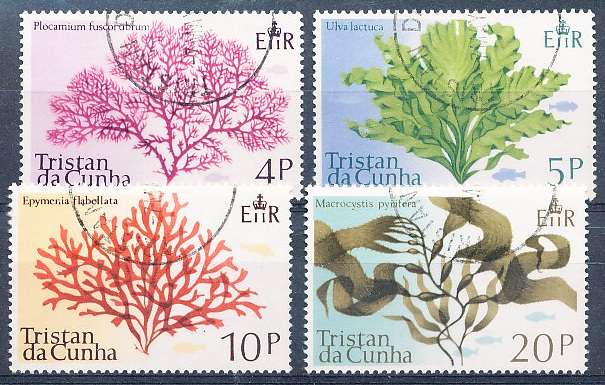 TRISTAN da CUNHA  - 1975   Marine Algae   SET  -    FINE  USED