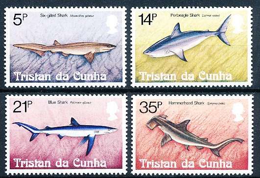 TRISTAN da CUNHA  - 1982  Sharks    SET  -    FINE  MINT