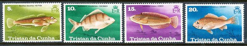 TRISTAN da CUNHA  - 1978  Fish  SET  -    FINE  MINT