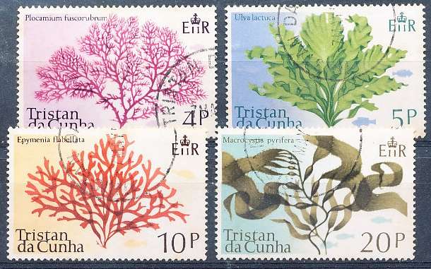 TRISTAN da CUNHA  - 1975   Marine Algae   SET  -    FINE  USED