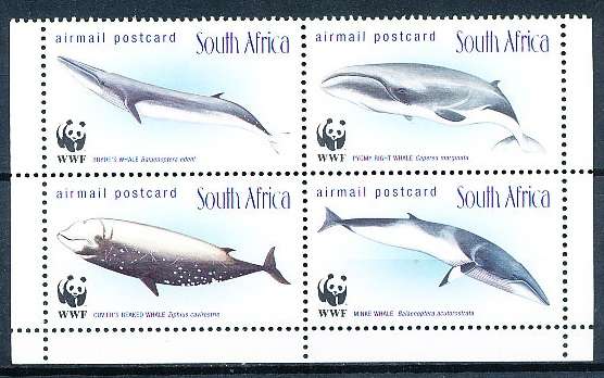 RSA -  1998  -  Whales of the Southern Ocean   SET - FINE  MINT