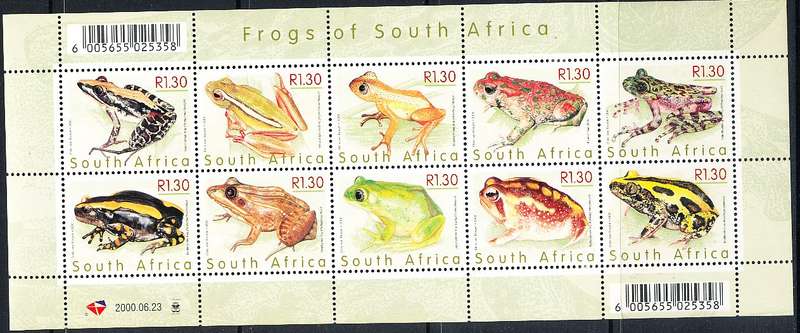 RSA  - 2000  -   Frogs of South Africa   FULL SHEET  - FINE  MINT