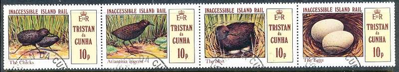 TRISTAN da CUNHA  - 1981    Island Rail   SET  -    FINE  USED