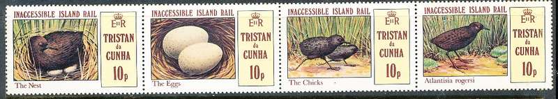 TRISTAN da CUNHA  - 1981    Island Rail   SET  -    FINE  MINT