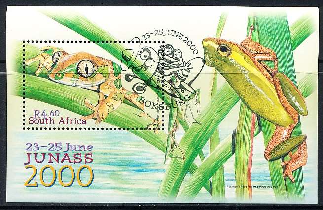 RSA  - 2000  -   Junior Stamp Show -  MINI- SHEET  -   CTO USED