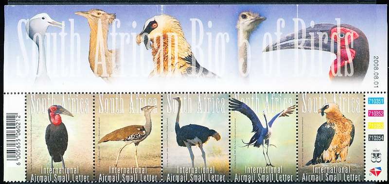 RSA -  2008  -  Birds - The Big 5  - FINE MINT