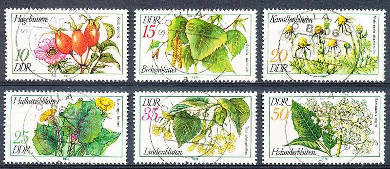 GERMANY  DDR   1978  - Flowers  FULL SET     -  FINE  USED