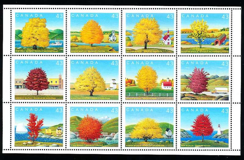 CANADA  1994 -   Maple Trees  FULL  SHEET -  FINE MINT
