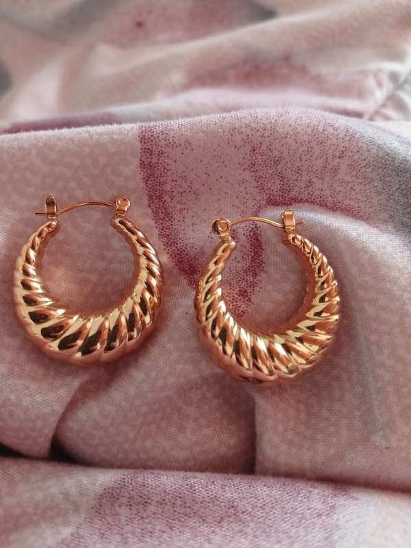 Shell Gold Plated Stainless Steel Earrings