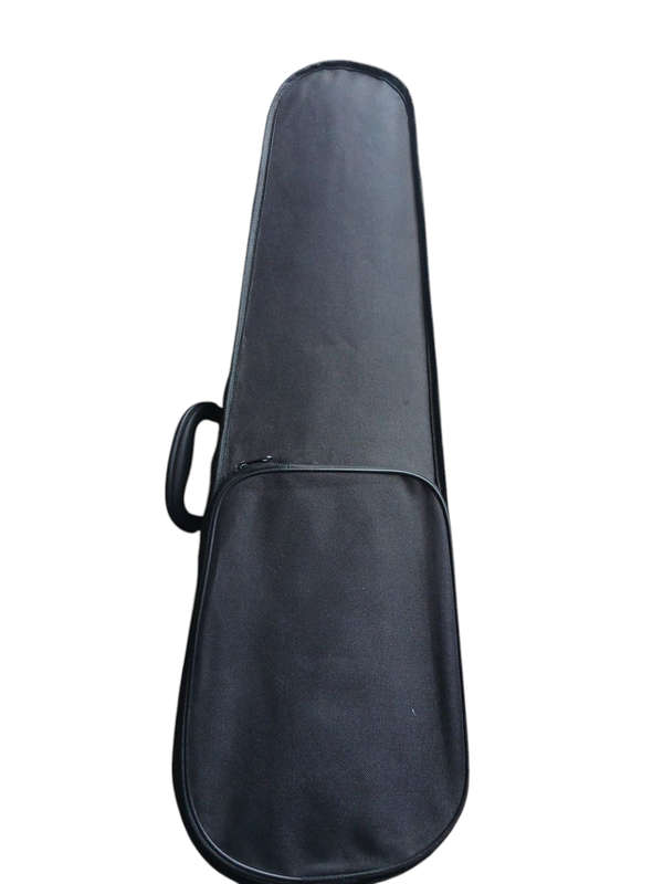 Caraya MV003 1/2 Violin with bag