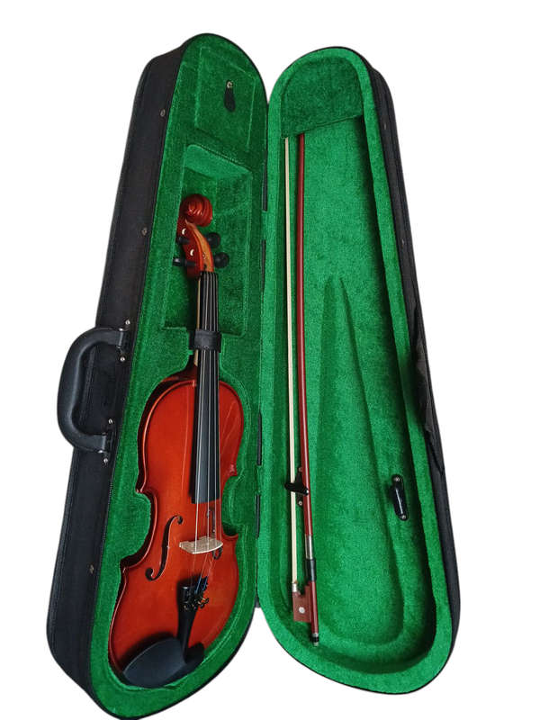 Caraya MV003 1/2 Violin with bag