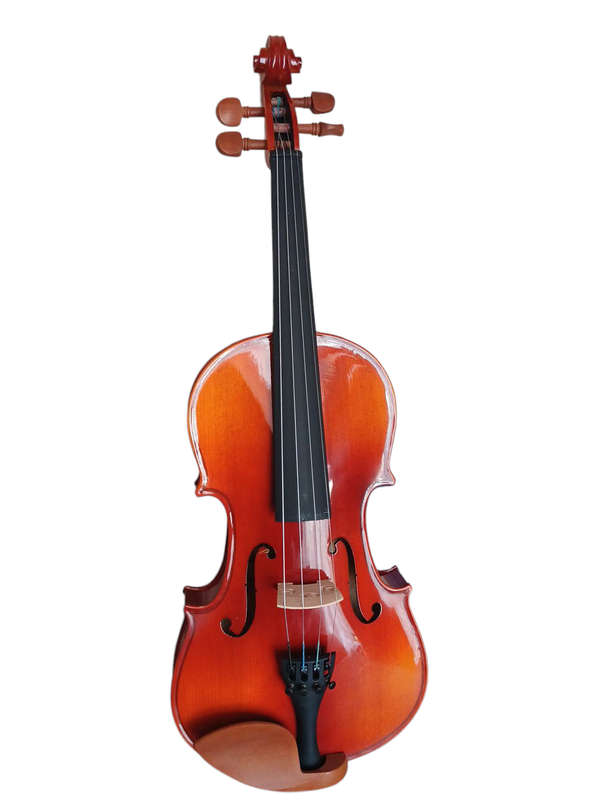 Giuliani SV2 Size 4/4 Violin
